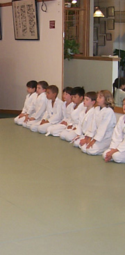 asian martial arts studio childrens program
